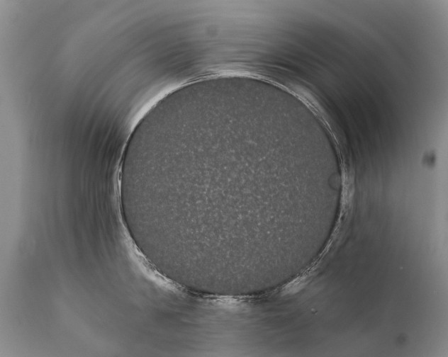 X0000112000814200908171418