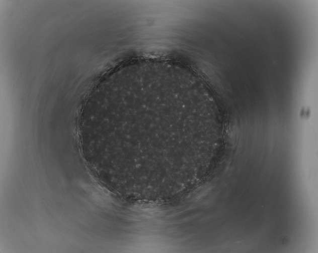 X0000112000817200908171417