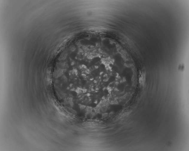 X0000112000819200908171417