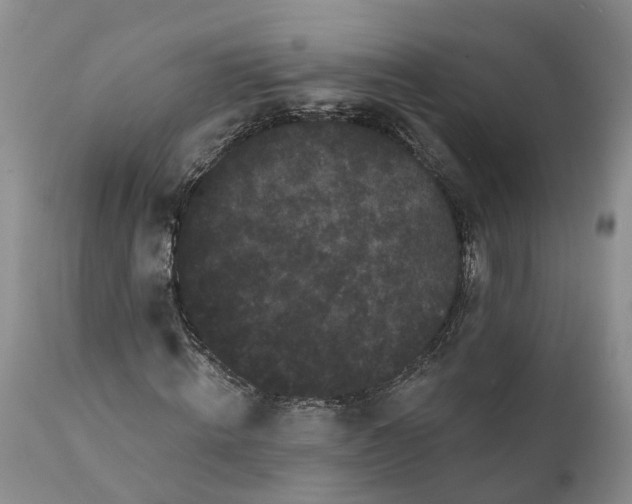 X0000112000820200908171417