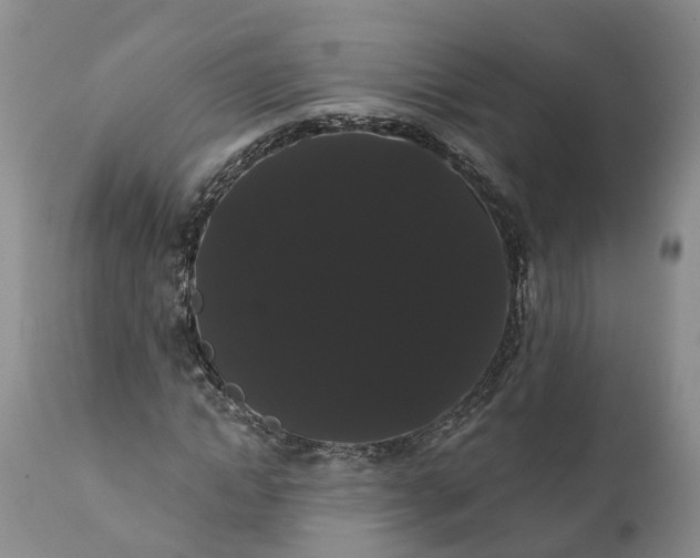 X0000112000822200908171417