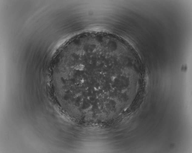 X0000112000823200908171417