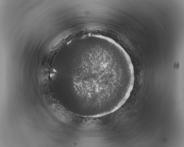 X0000112000824200908171417