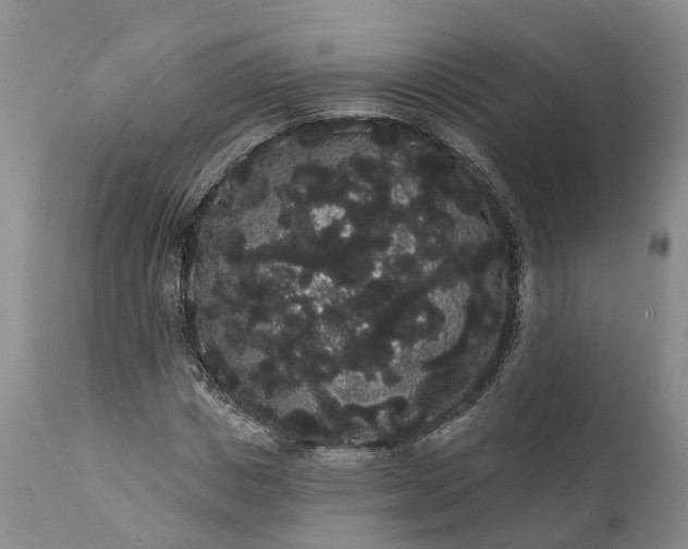 X0000112000825200908171417