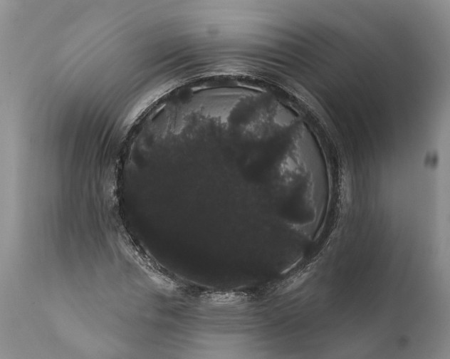 X0000112000826200908171417