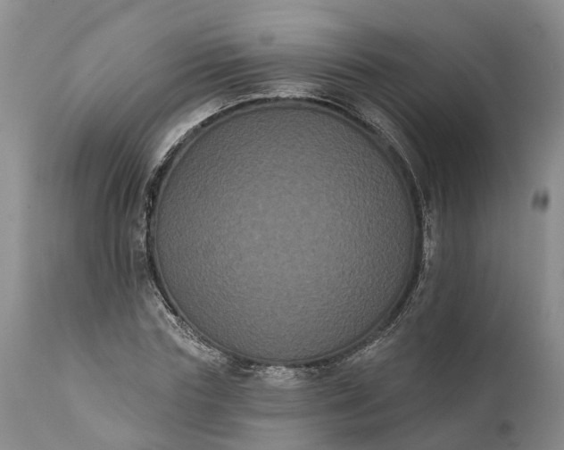 X0000112000827200908171417