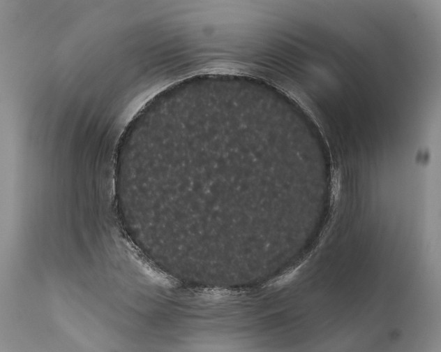 X0000112000829200908171417