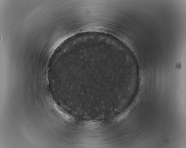 X0000112000830200908171417