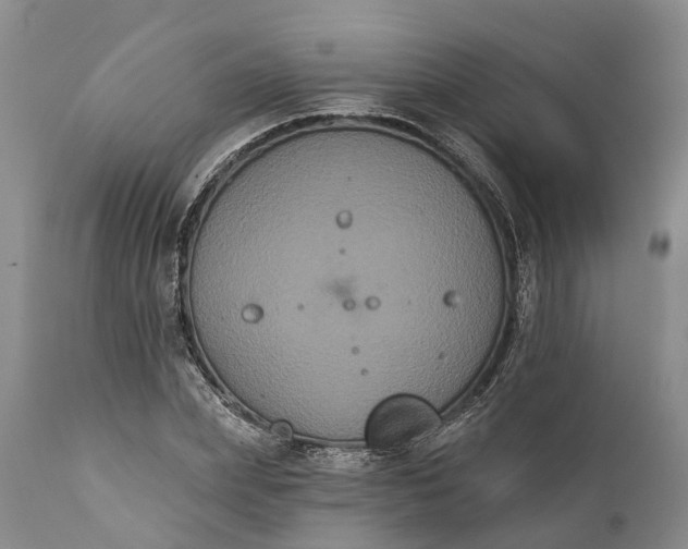 X0000112000831200908171417