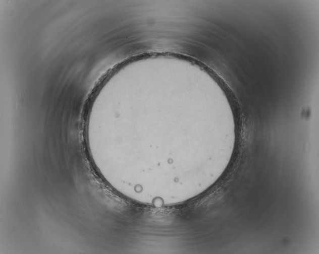 X0000112000832200908171417