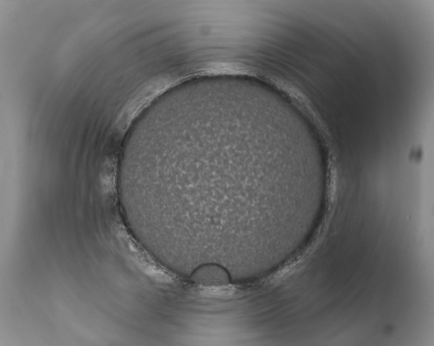 X0000112000833200908171417