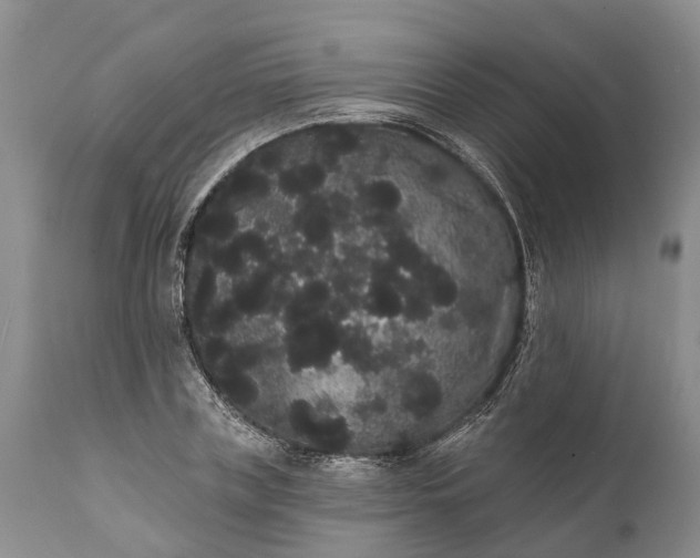 X0000112000835200908171417