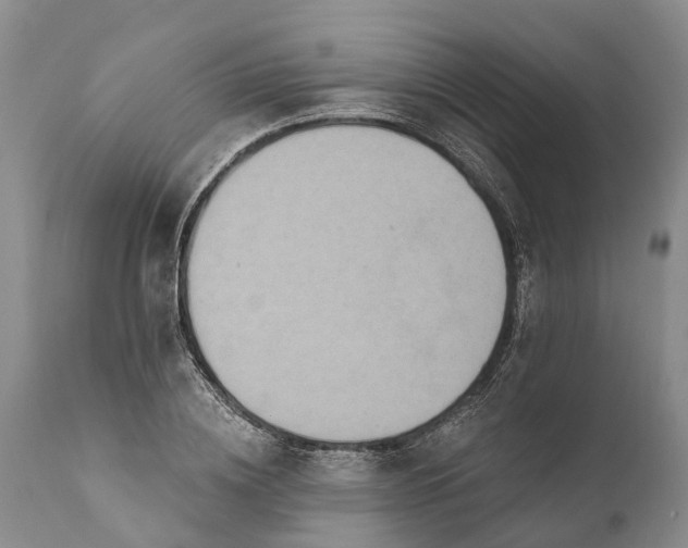 X0000112000836200908171417