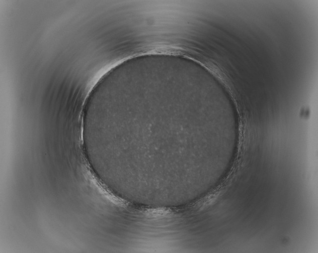 X0000112000838200908171417