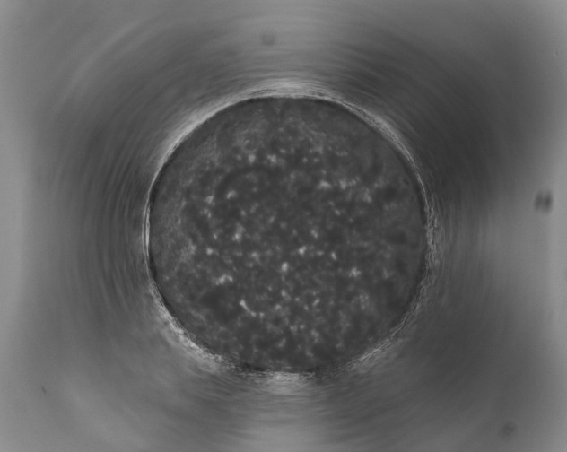 X0000112000839200908171417