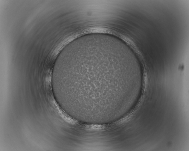 X0000112000841200908171417