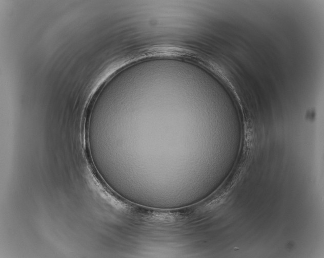 X0000112000843200908171417