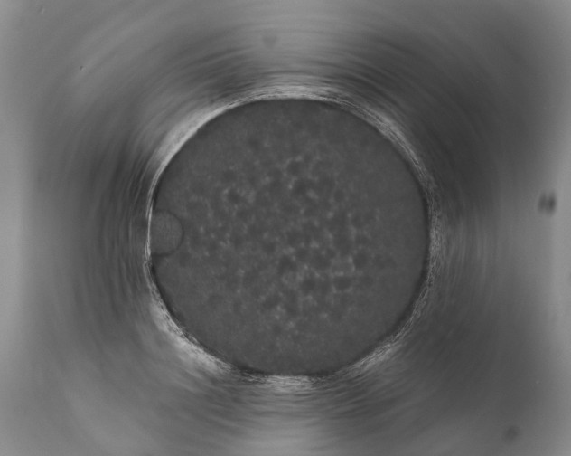 X0000112000844200908171417