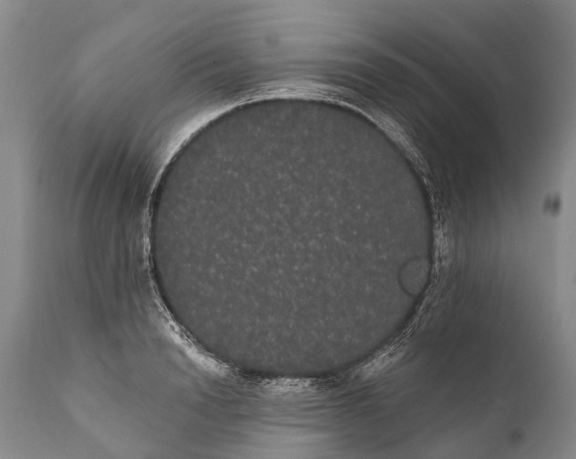 X0000112000846200908171417