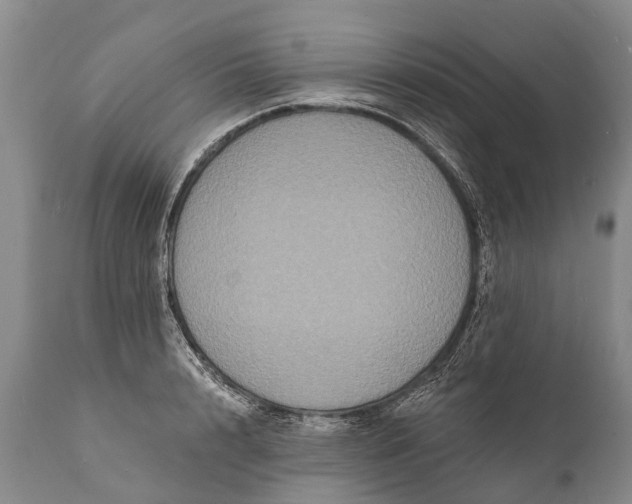 X0000112000848200908171417