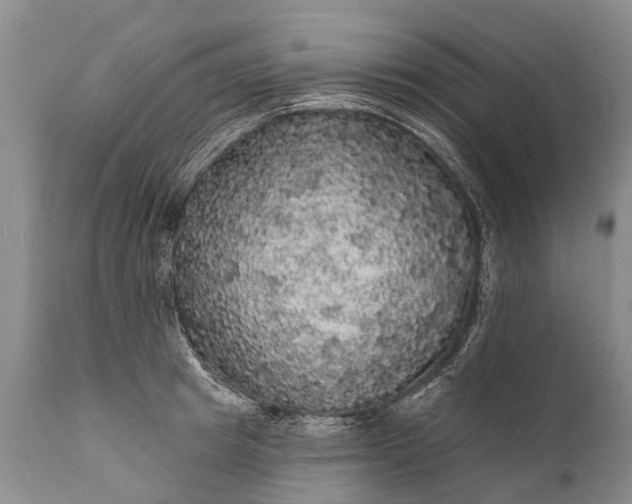 X0000112000849200908171417