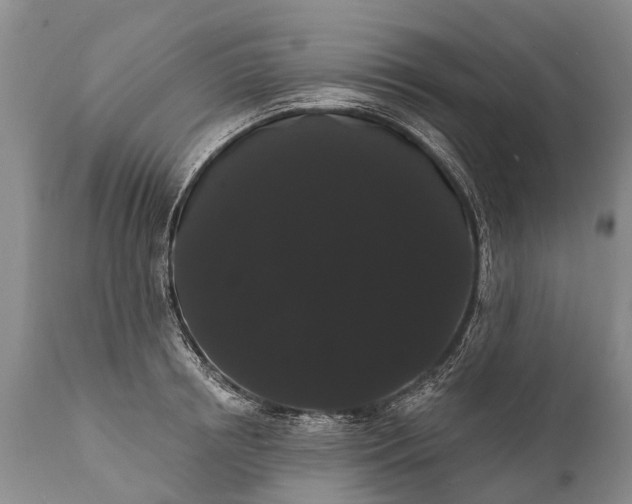 X0000112000850200908171417