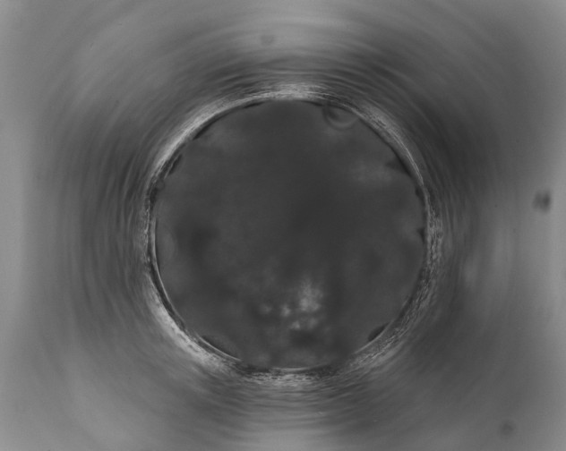 X0000112000851200908171417