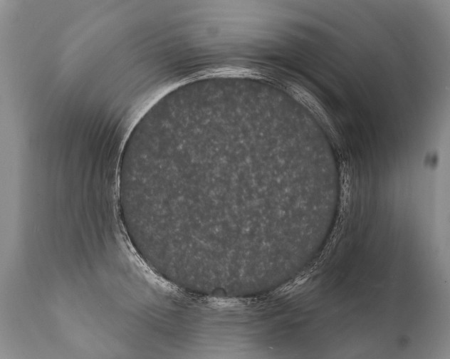 X0000112000852200908171417