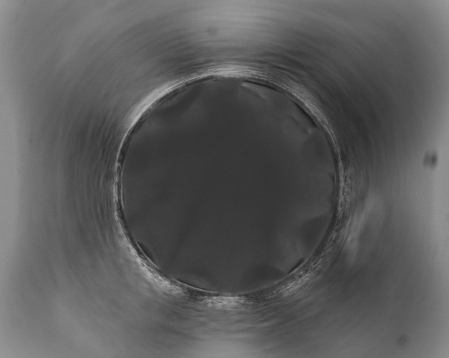 X0000112000853200908171417