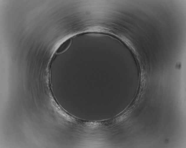 X0000112000854200908171417