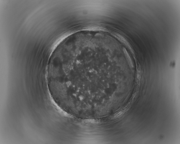 X0000112000855200908171417