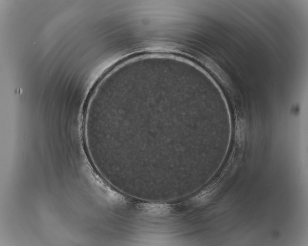 X0000112000856200908171417