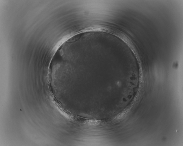 X0000112000858200908171417