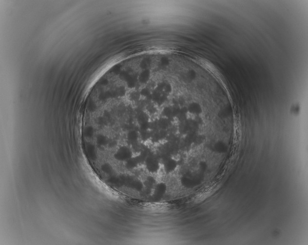 X0000112000859200908171417