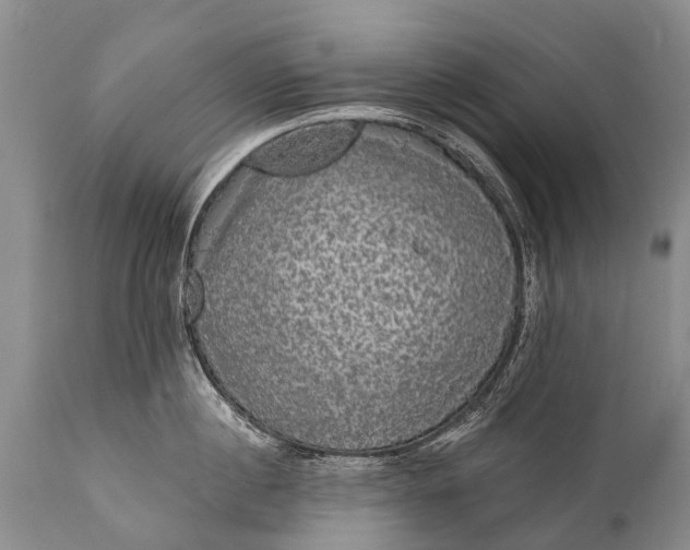 X0000112000860200908171417