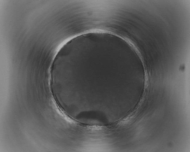 X0000112000862200908171418