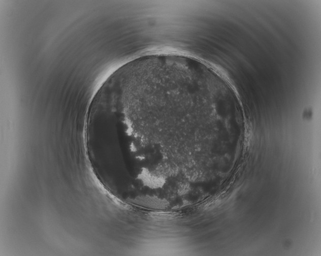 X0000112000863200908171418