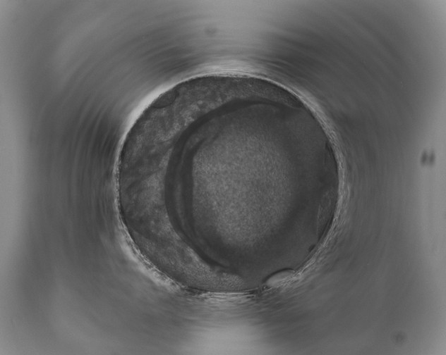 X0000112000864200908171418