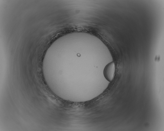 X0000112000865200908171417