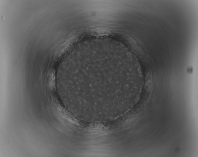 X0000112000866200908171417