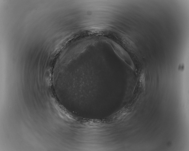 X0000112000868200908171417