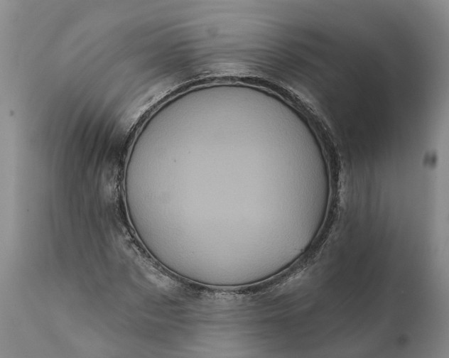 X0000112000873200908171417