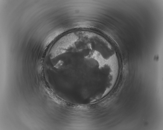 X0000112000874200908171417