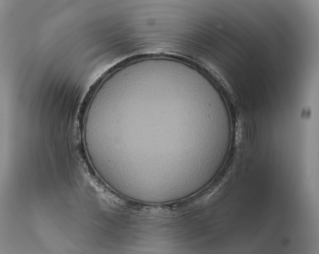 X0000112000876200908171417