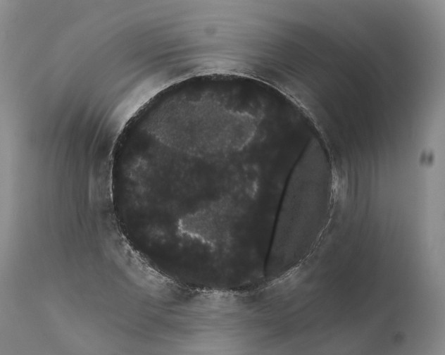 X0000112000877200908171417