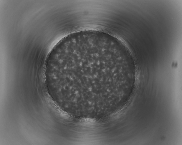 X0000112000878200908171417