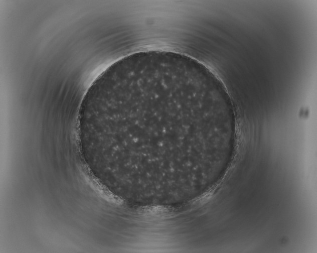 X0000112000879200908171417