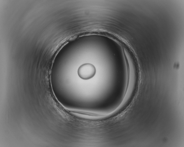 X0000112000881200908171417