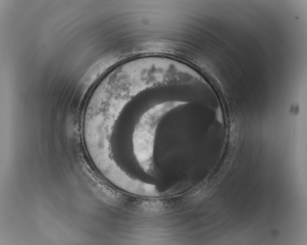 X0000112000882200908171417