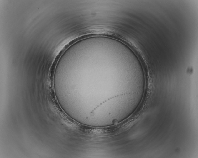 X0000112000883200908171417